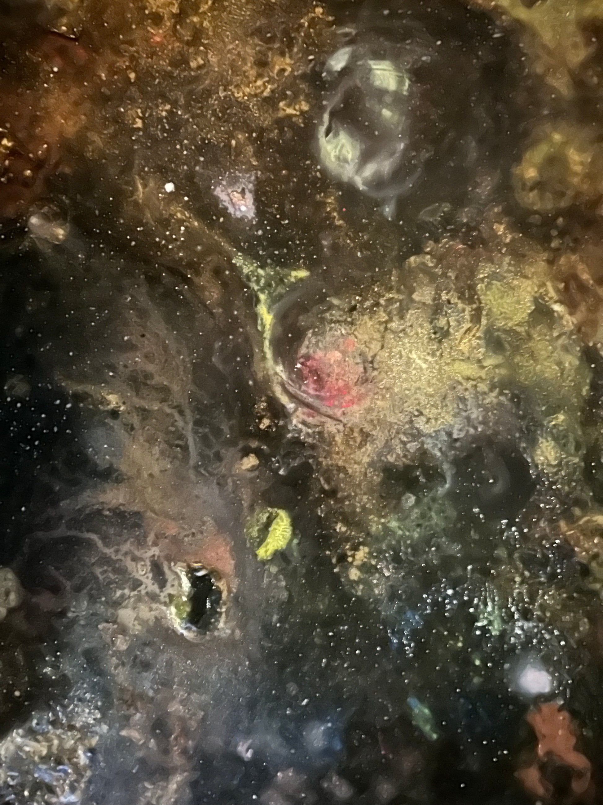 Galactic (SOLD) - HARTMAN