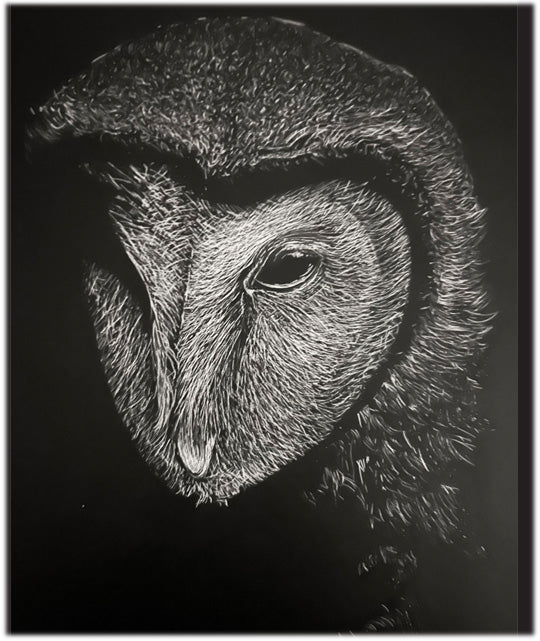 Owl - HARTMAN