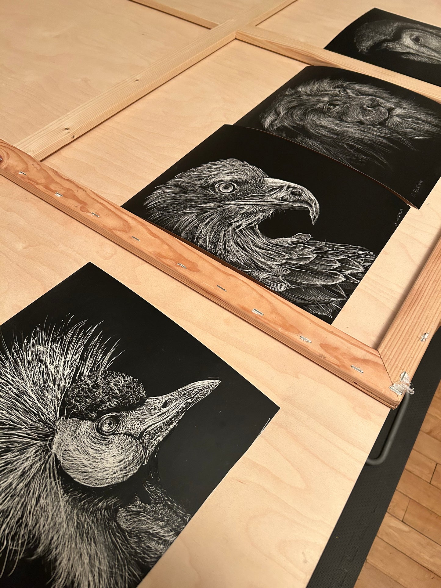 Eagle sgraffito drawing - HARTMAN