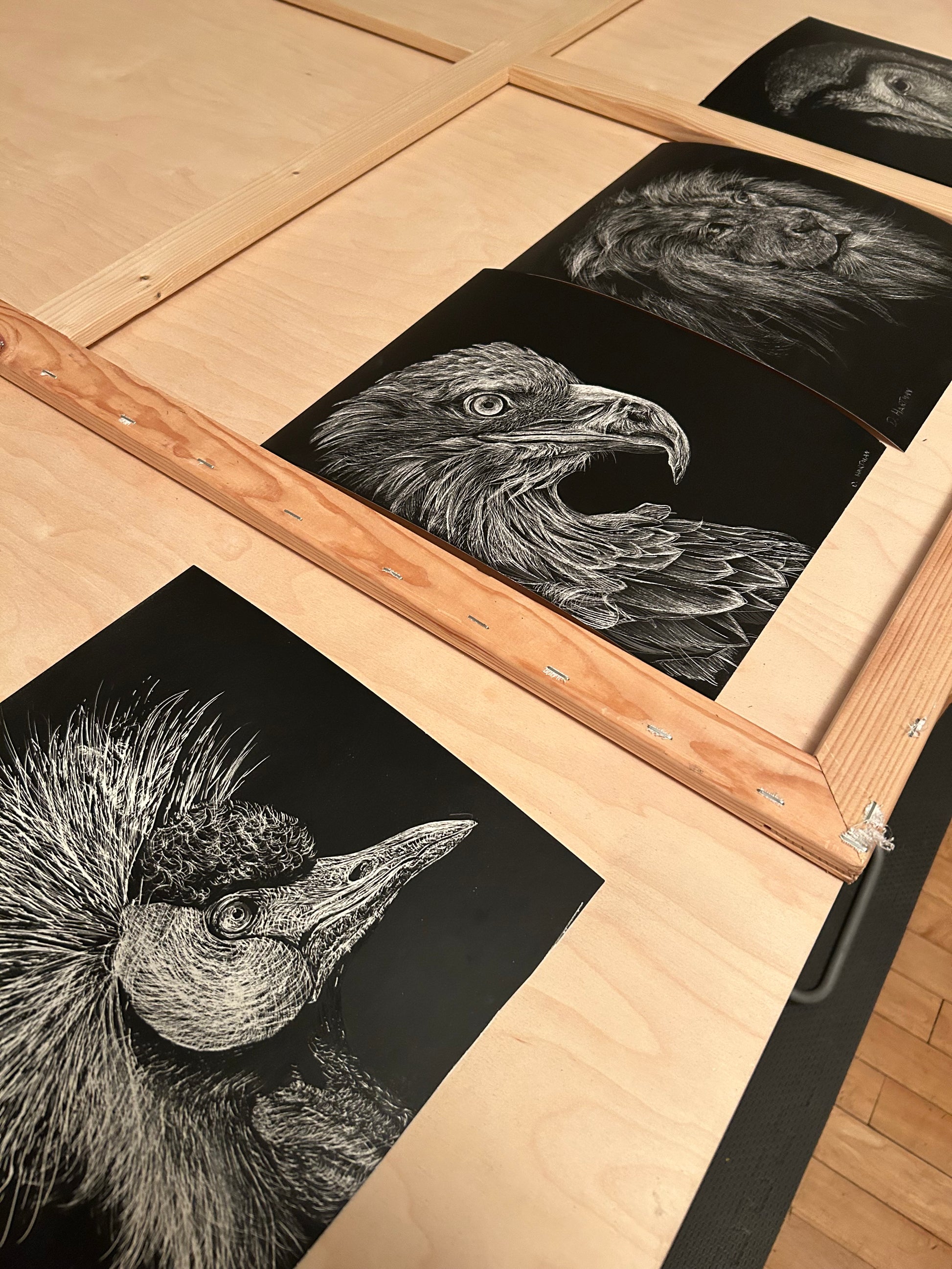 Eagle sgraffito drawing - HARTMAN