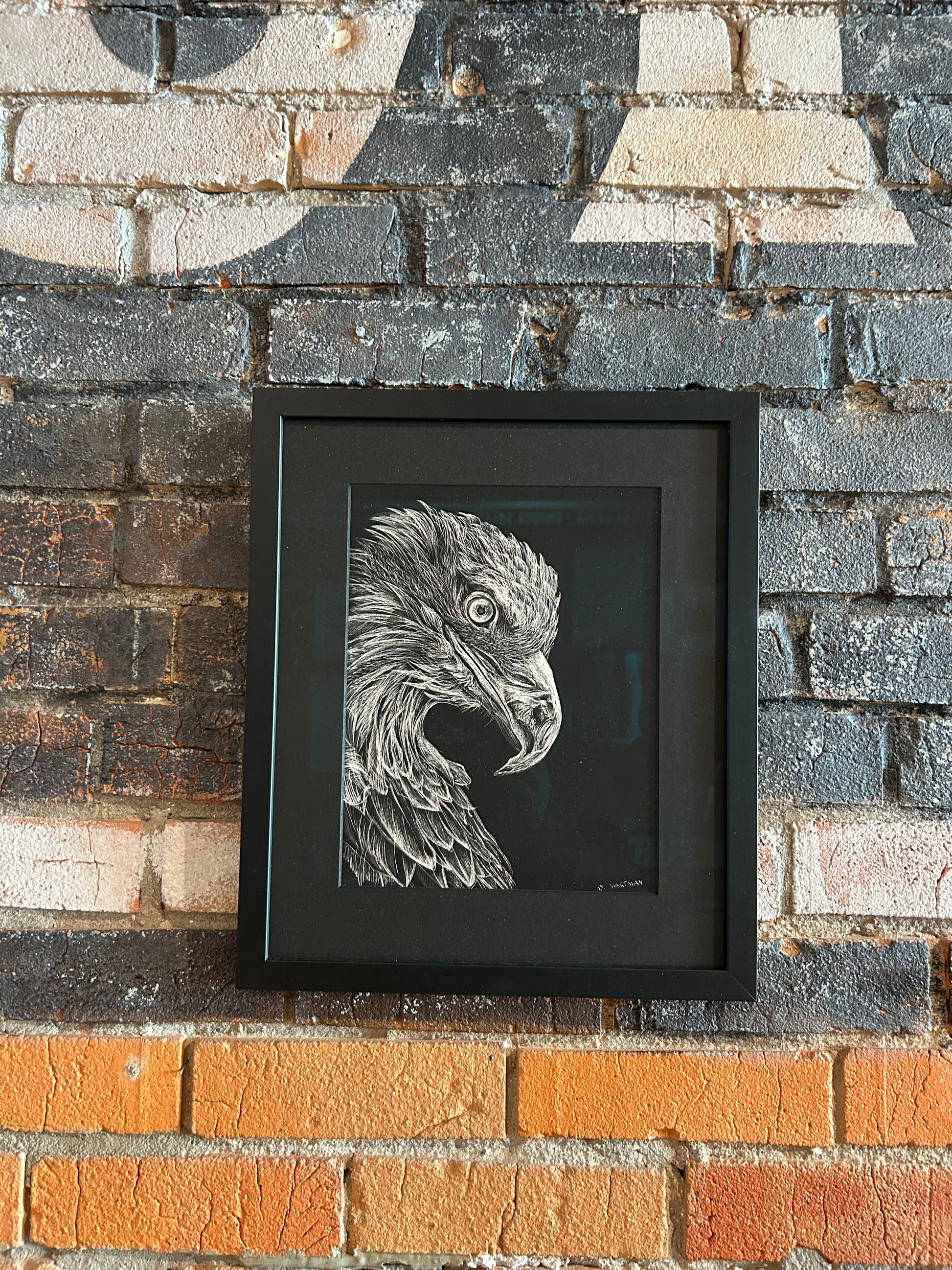 Eagle sgraffito drawing - HARTMAN