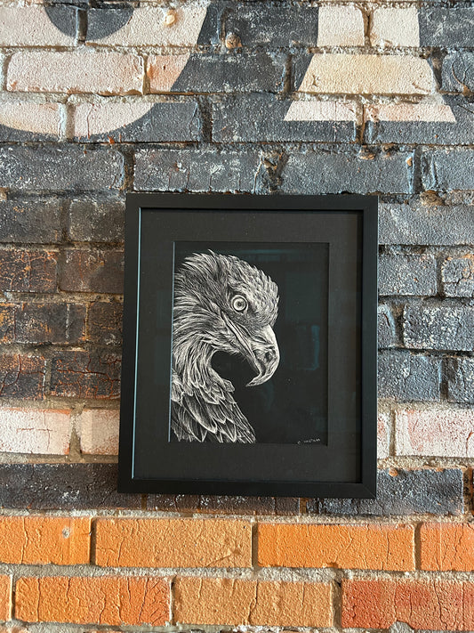 Eagle sgraffito drawing