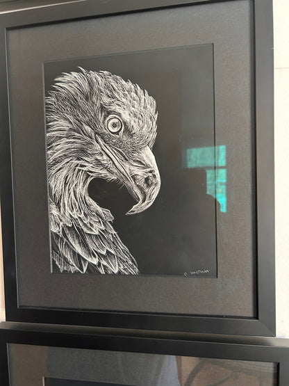 Eagle sgraffito drawing - HARTMAN