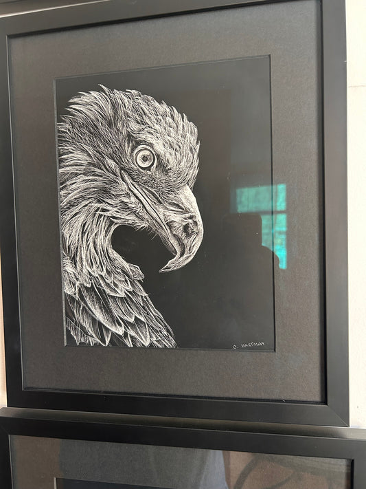 Eagle sgraffito drawing
