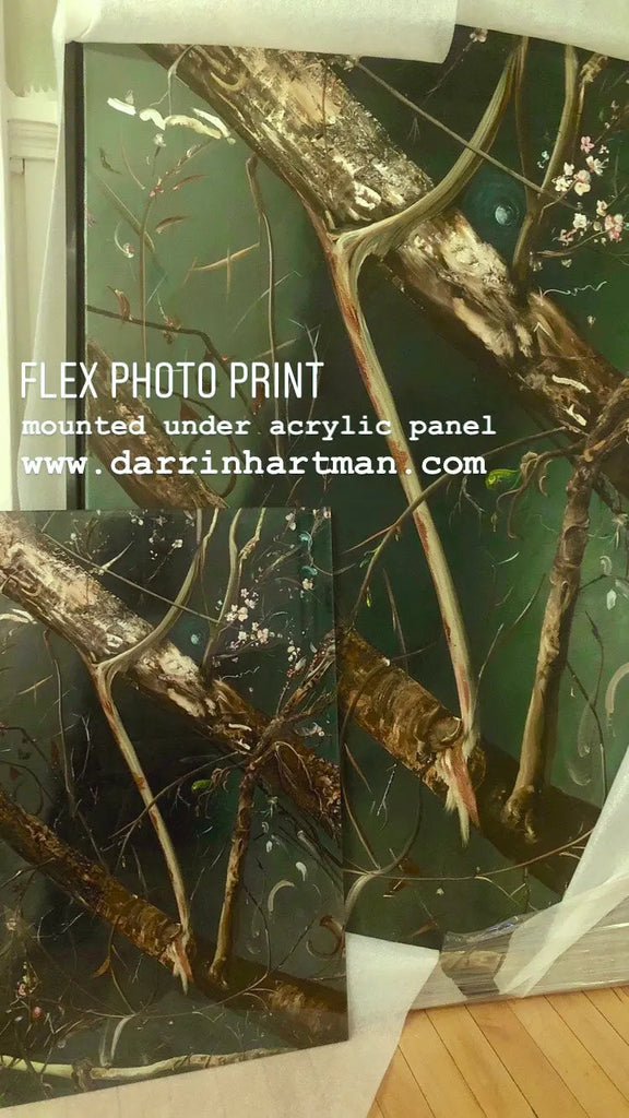 'Widow Maker' darrinHARTMAN