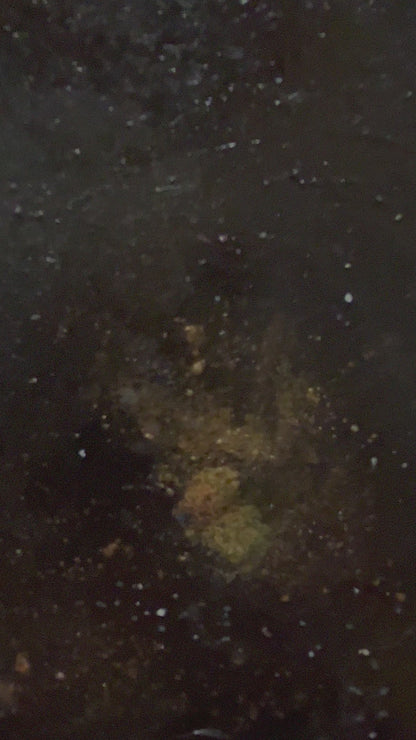 Galactic