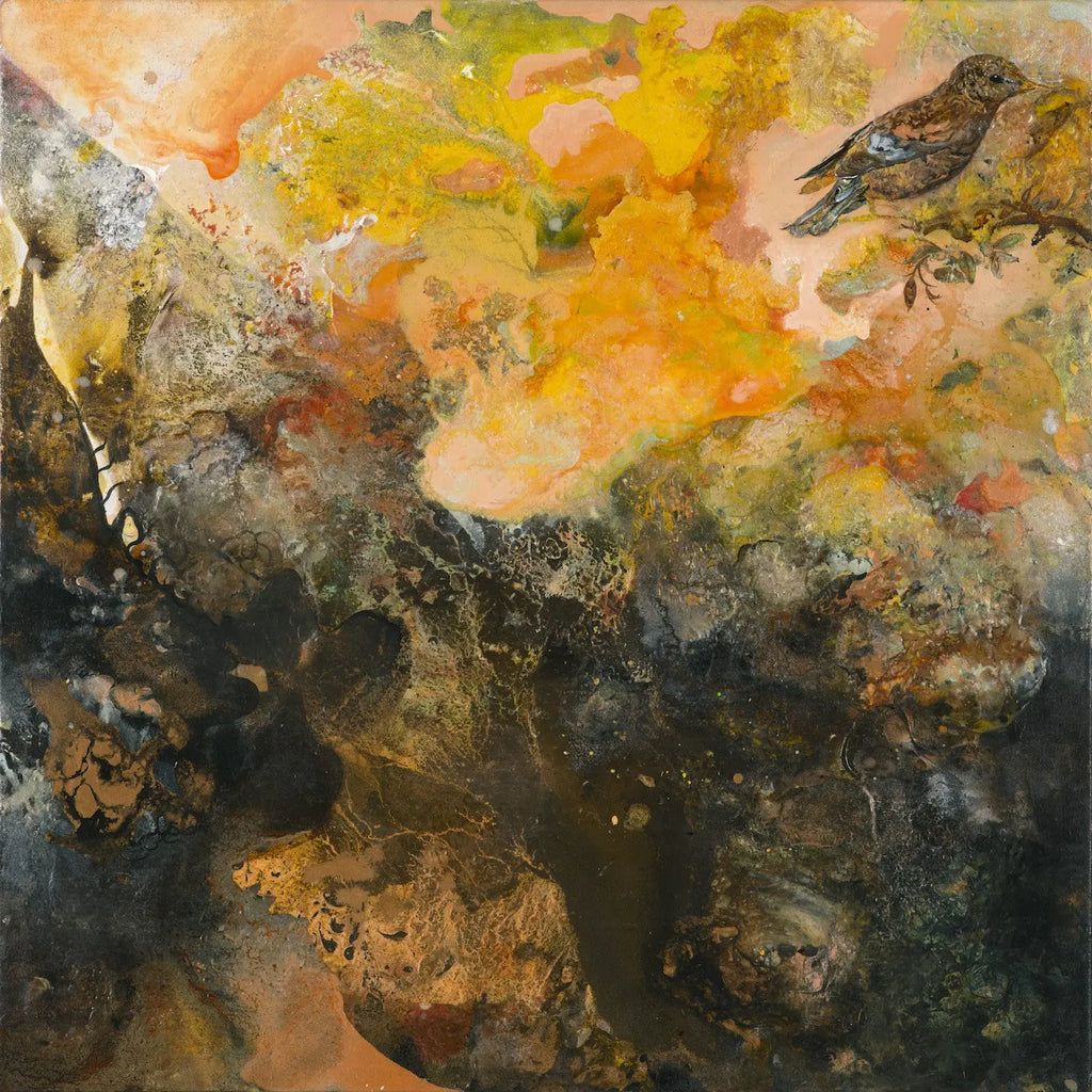 'Evolution' darrinHARTMAN