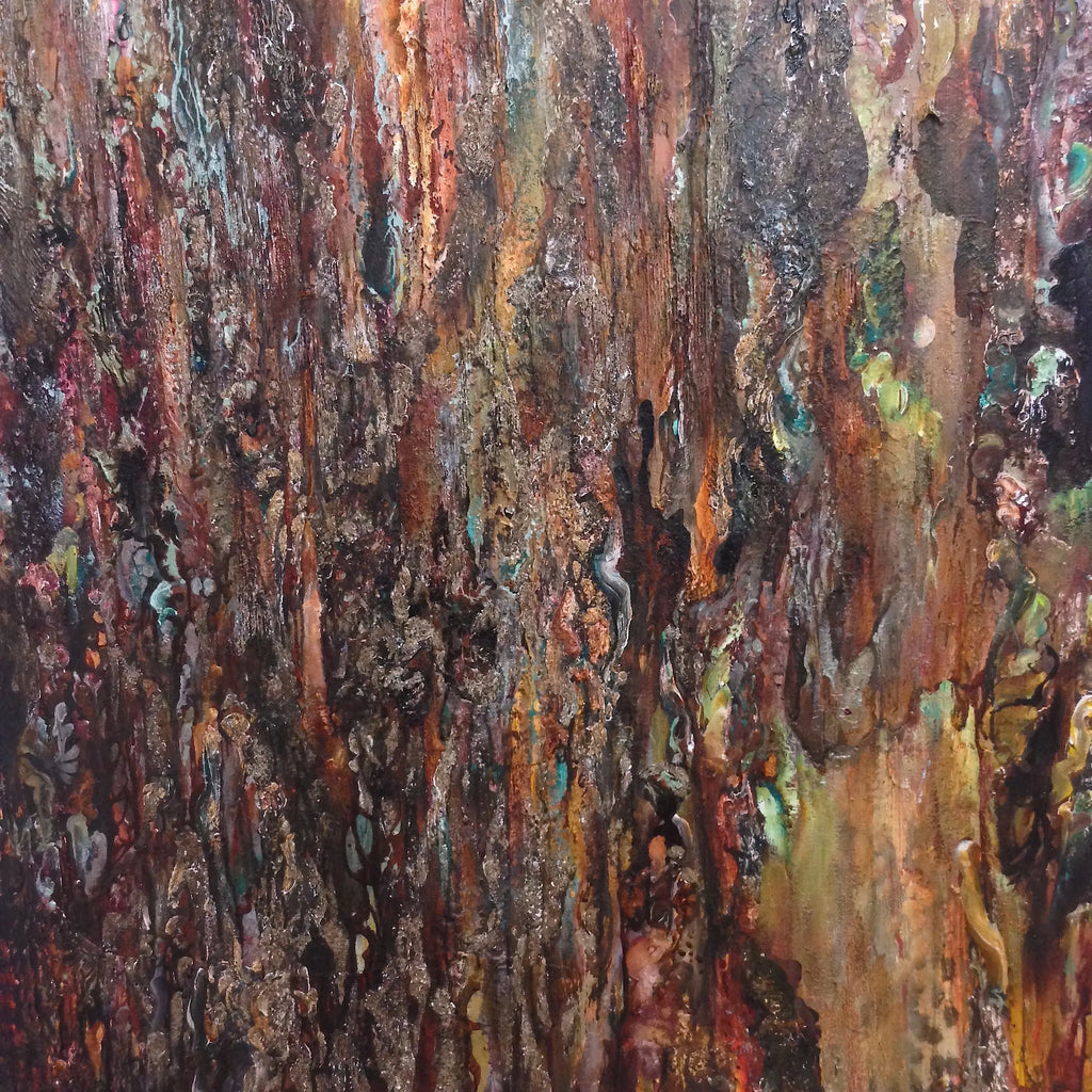 'Muir Woods' darrinHARTMAN