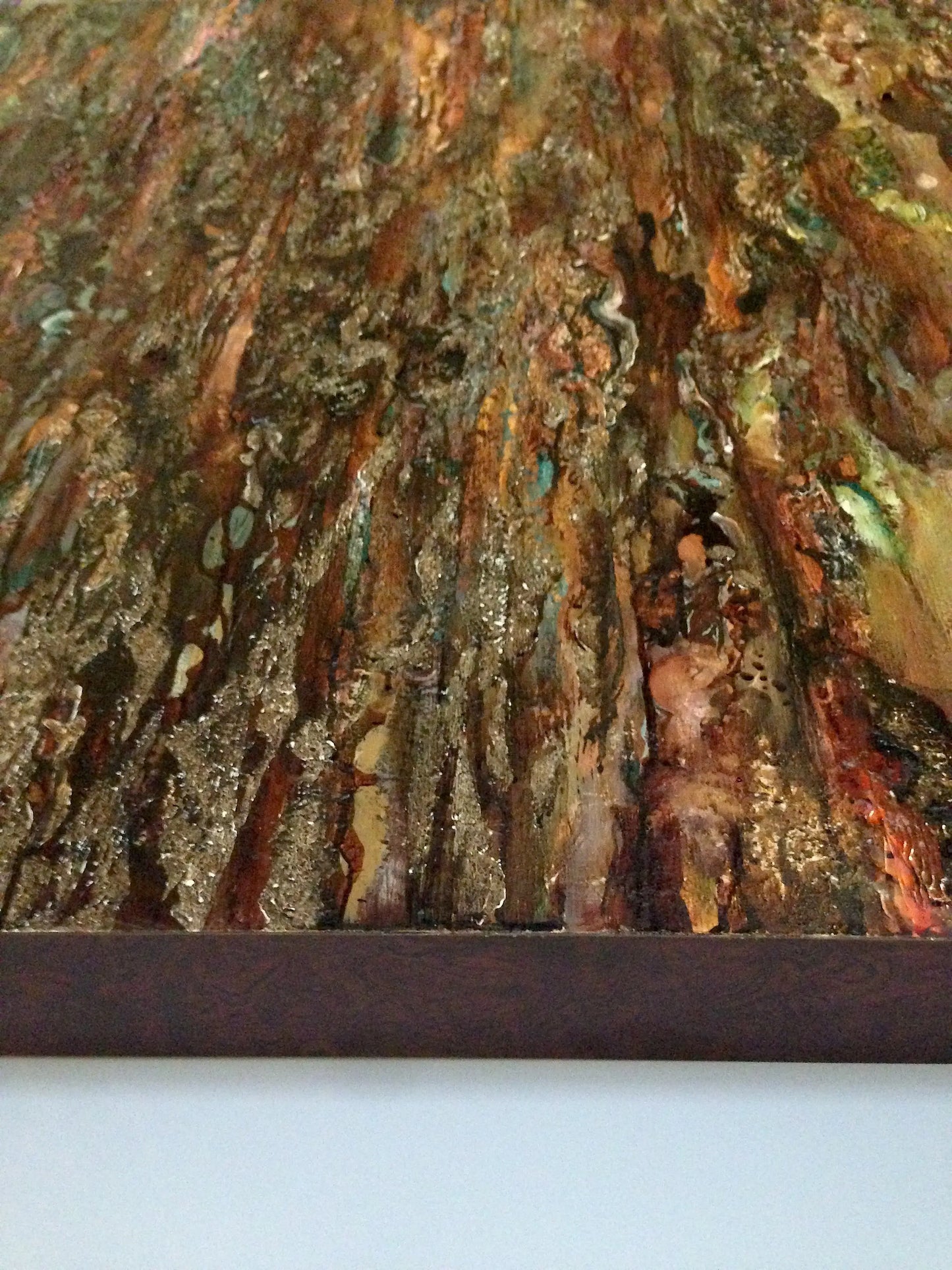 'Muir Woods' darrinHARTMAN